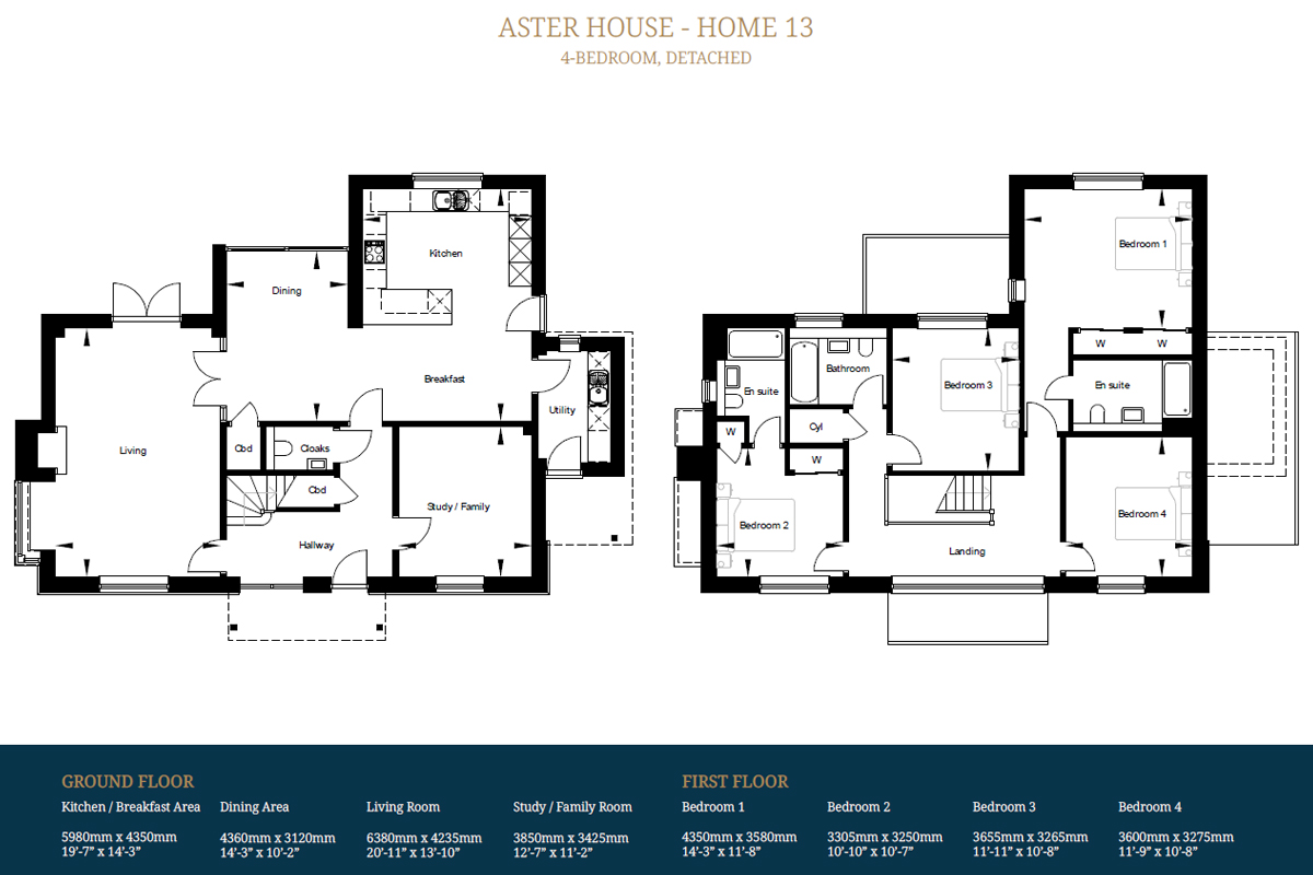 Aster_House_Floor_Plan