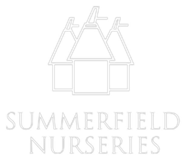 Summerfield_Nurseries