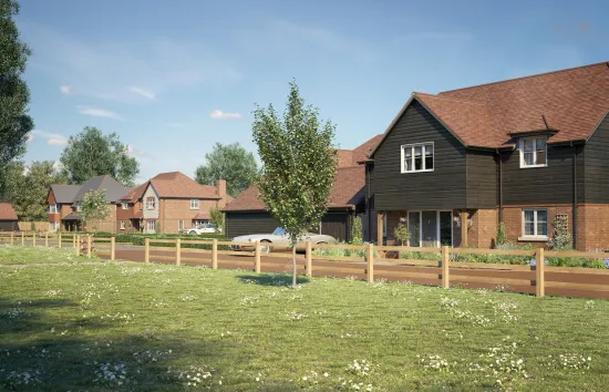 Mulberry Grove street scene