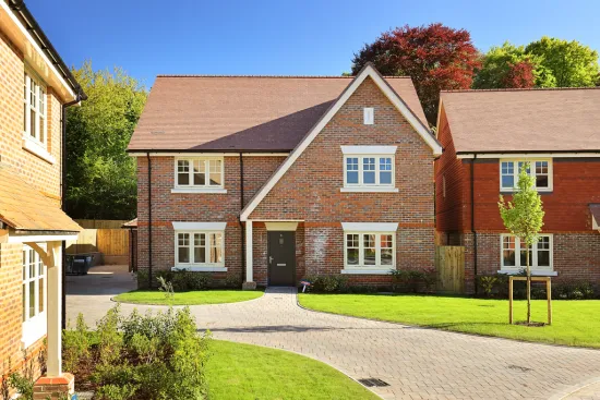 The Juniper, Plot 23