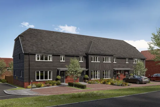 The Rosewood, Plot 4