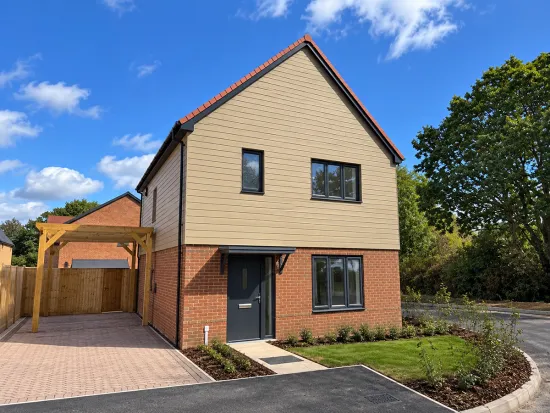 Plot 10 The Elder