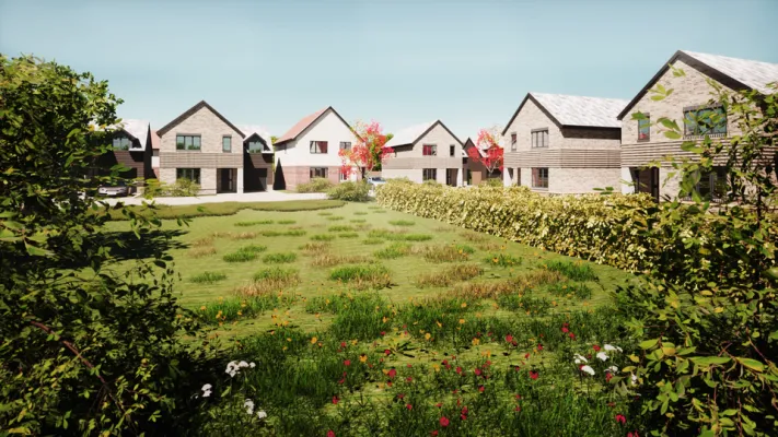 house around a meadow
