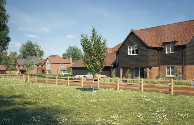 Mulberry Grove street scene