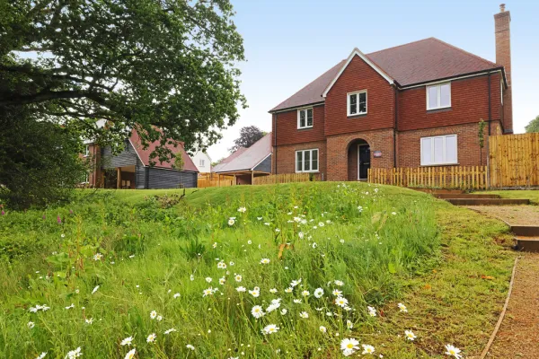 Plot 21