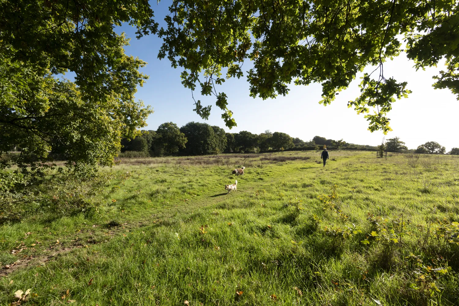 East Sussex