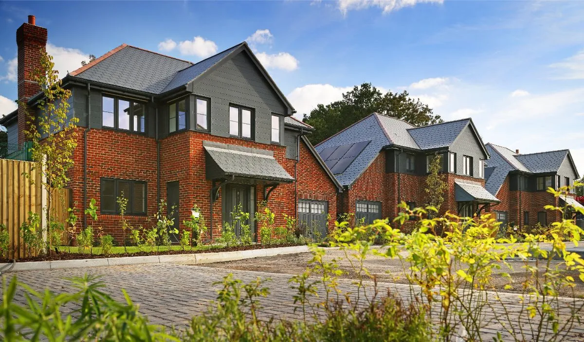 plot 11