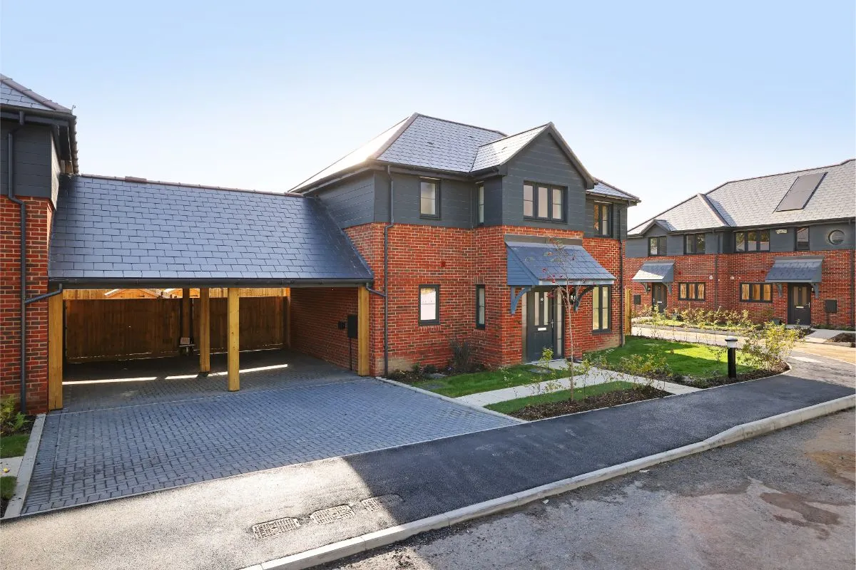 plot 13