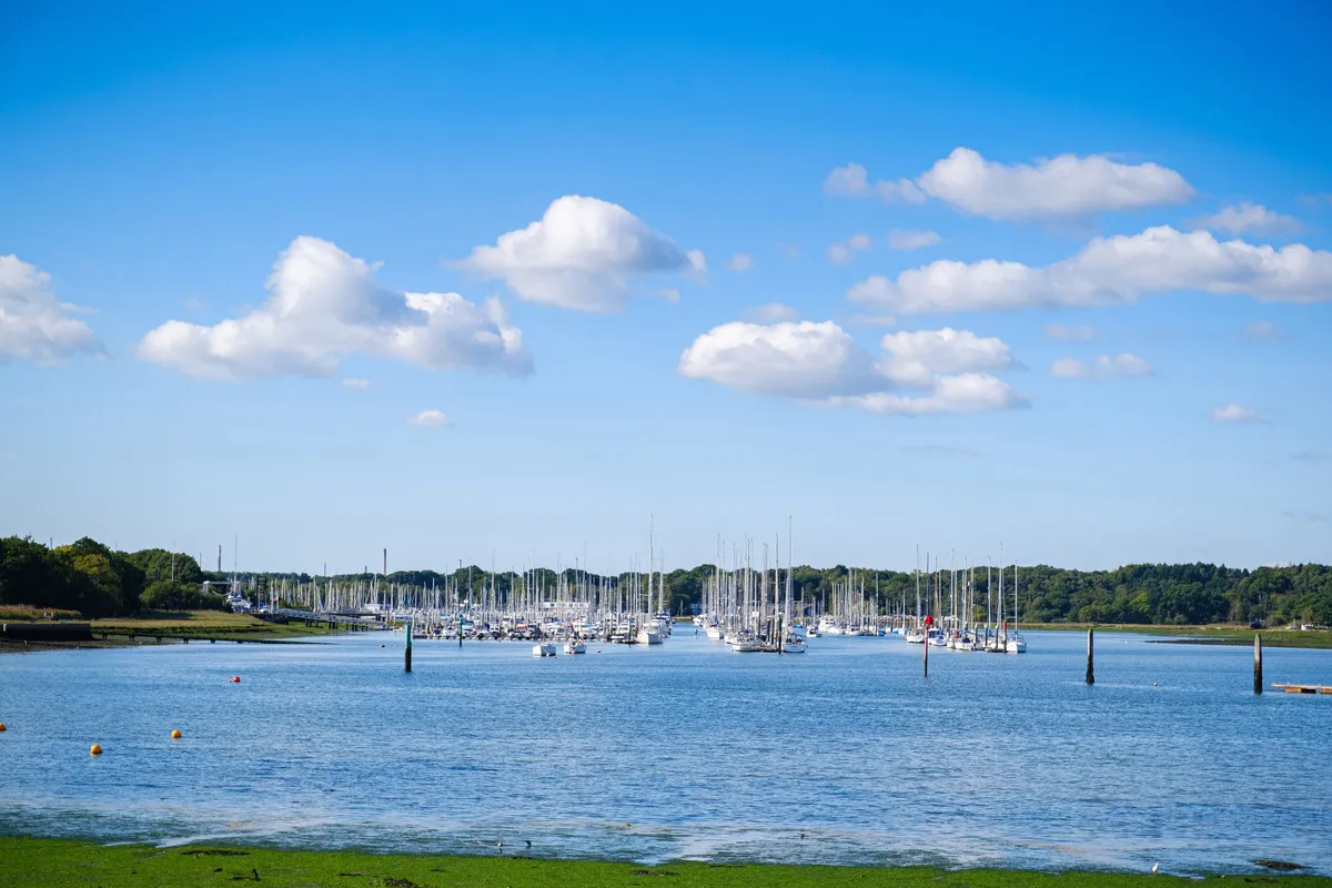netley