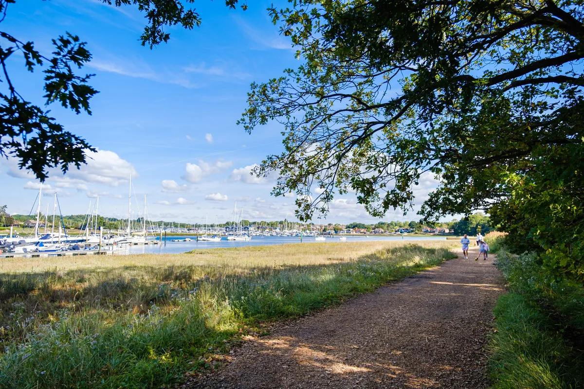 netley
