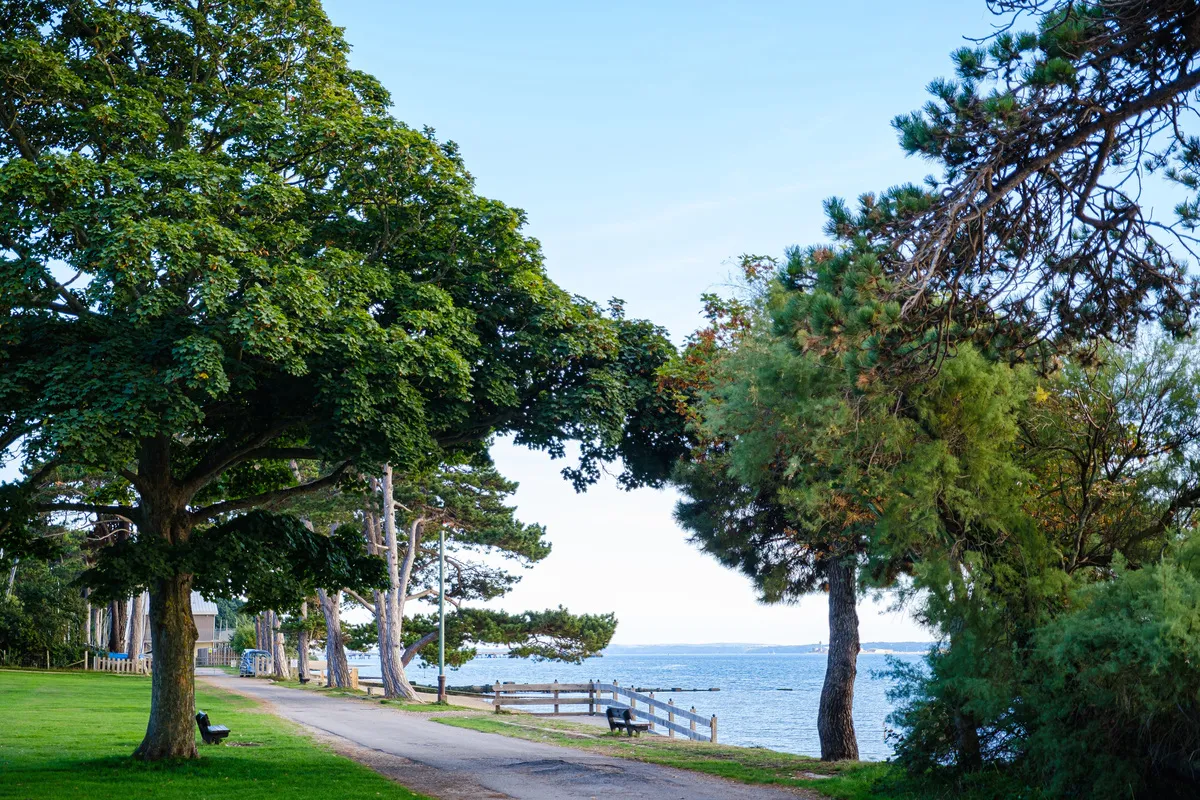 netley