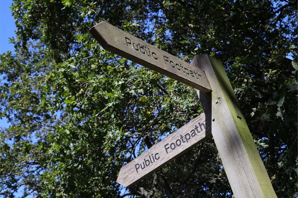 Ripley green