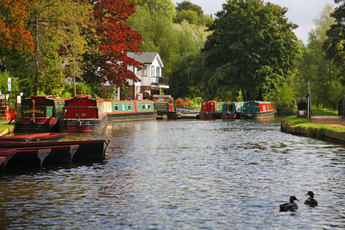River Wey