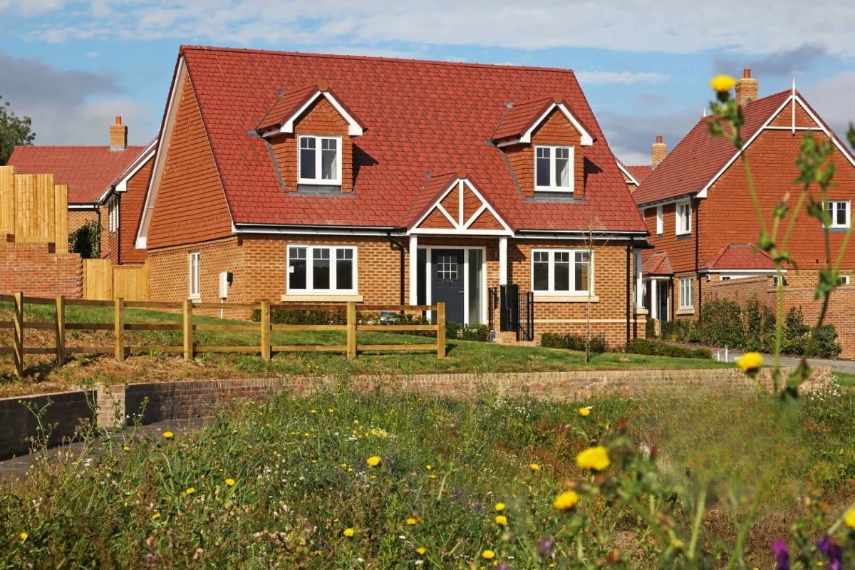 plot 43