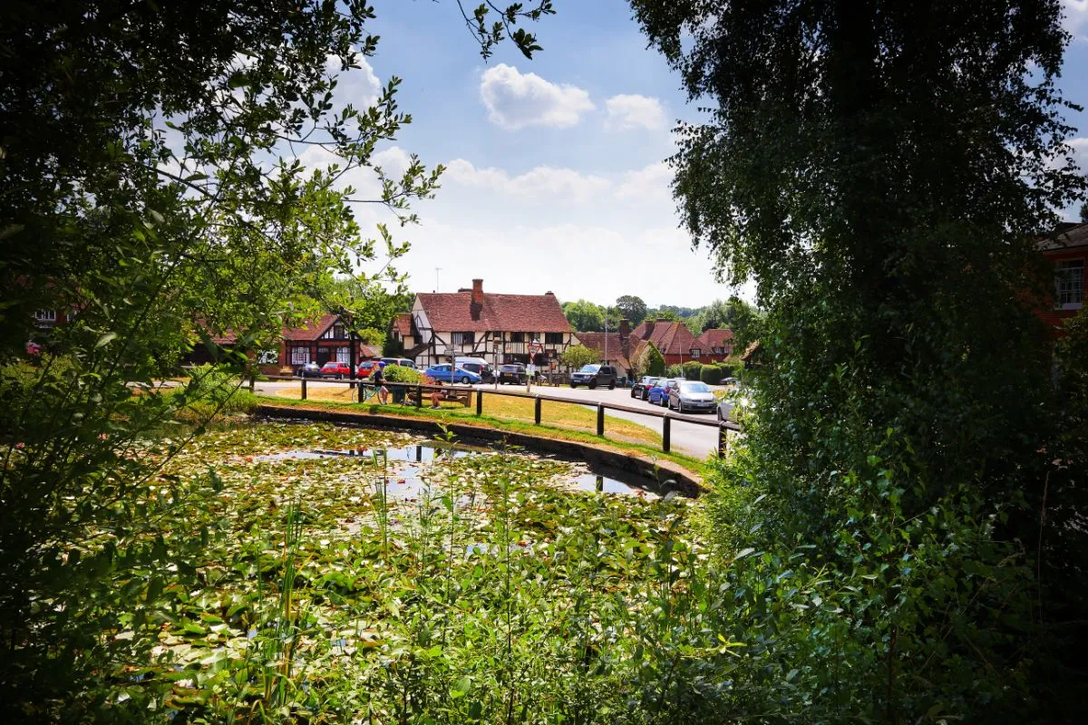 Chiddingfold Pond