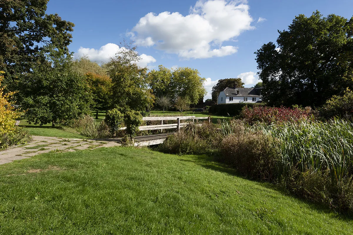 The Hedgerows