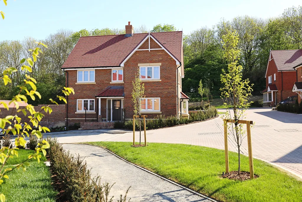 Plot 31
