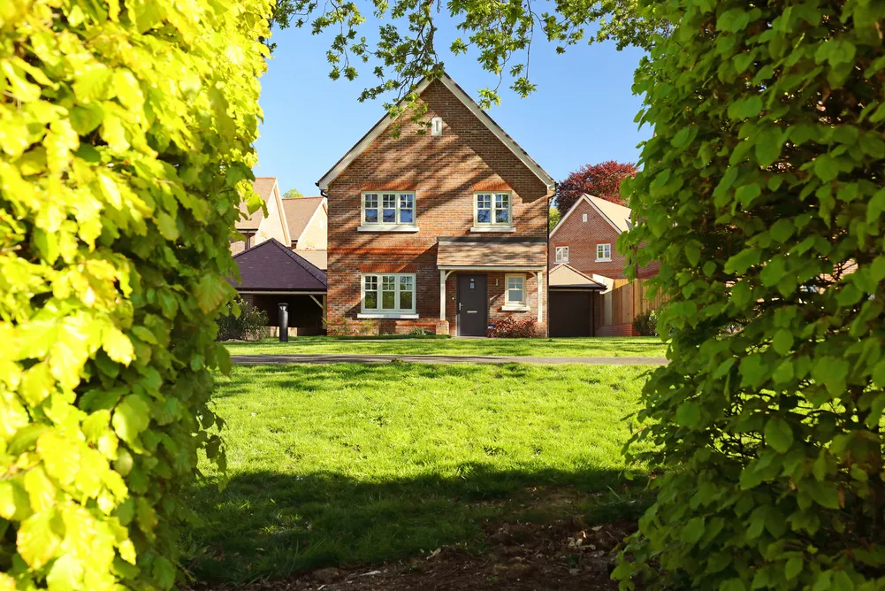 The Maple at Headley Chase