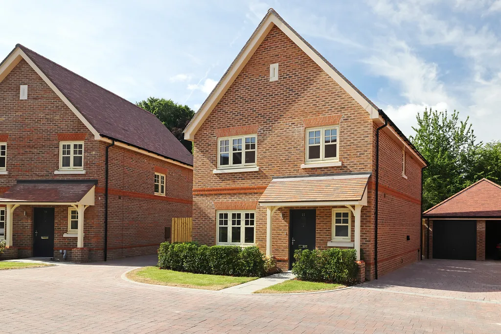 The Maple, Plot 11