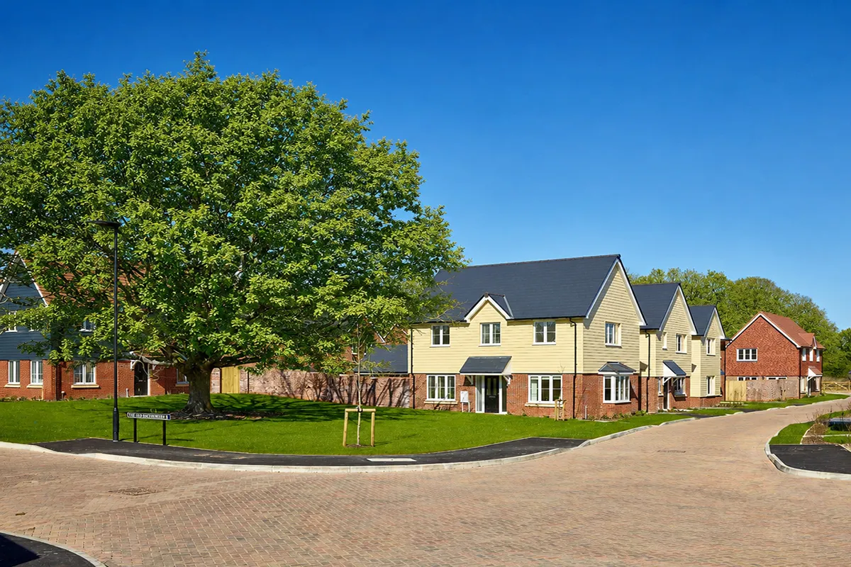The Woodlands