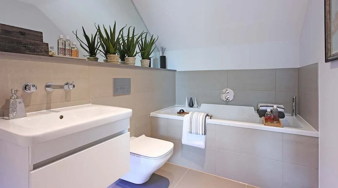 WG bath