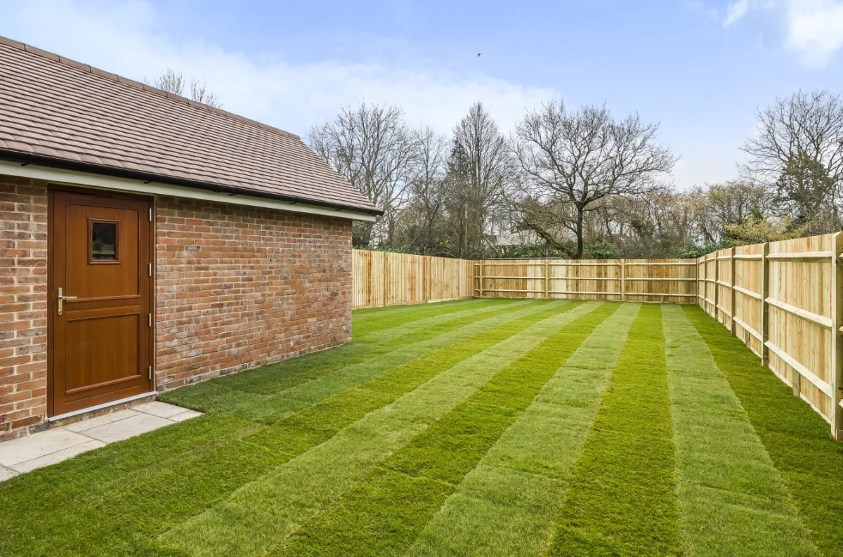 Plot 8 