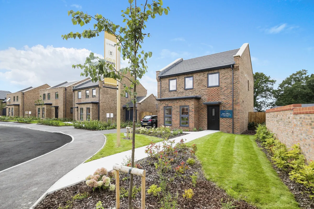 Plot 44