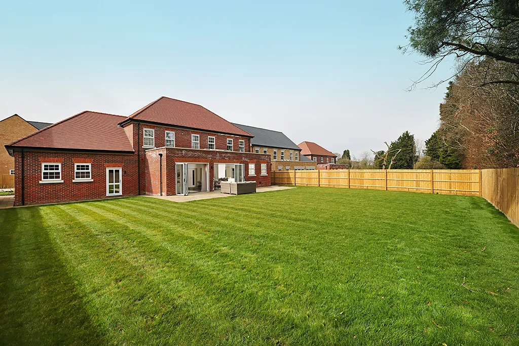 plot 6 garden
