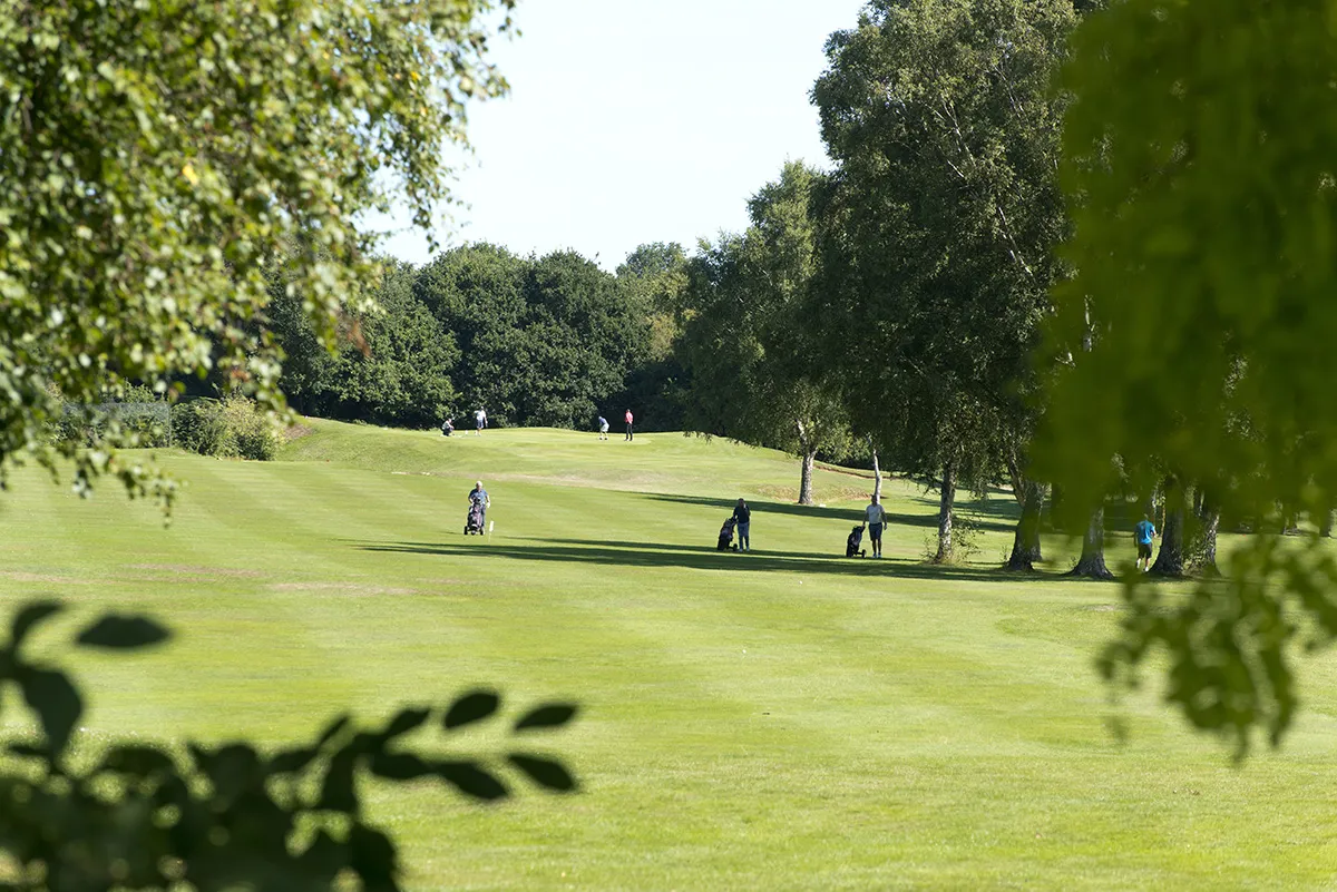 Summerfield_Area