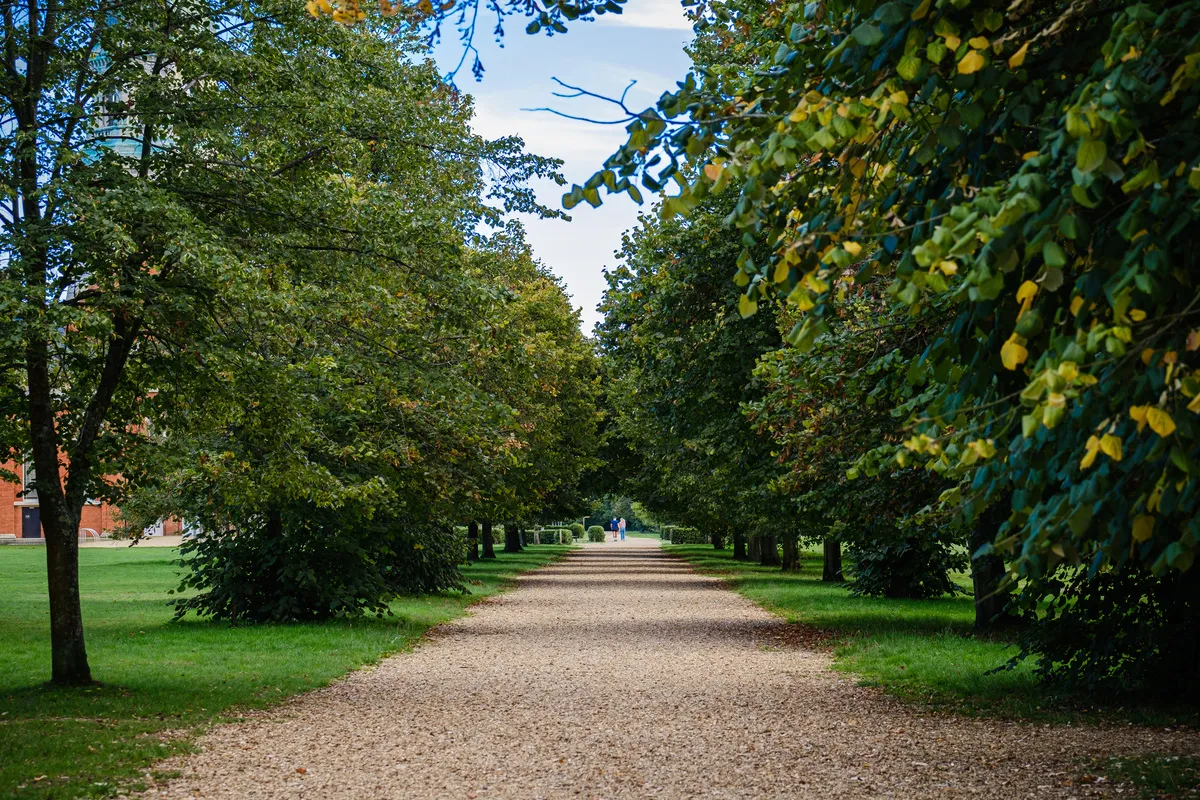 netley
