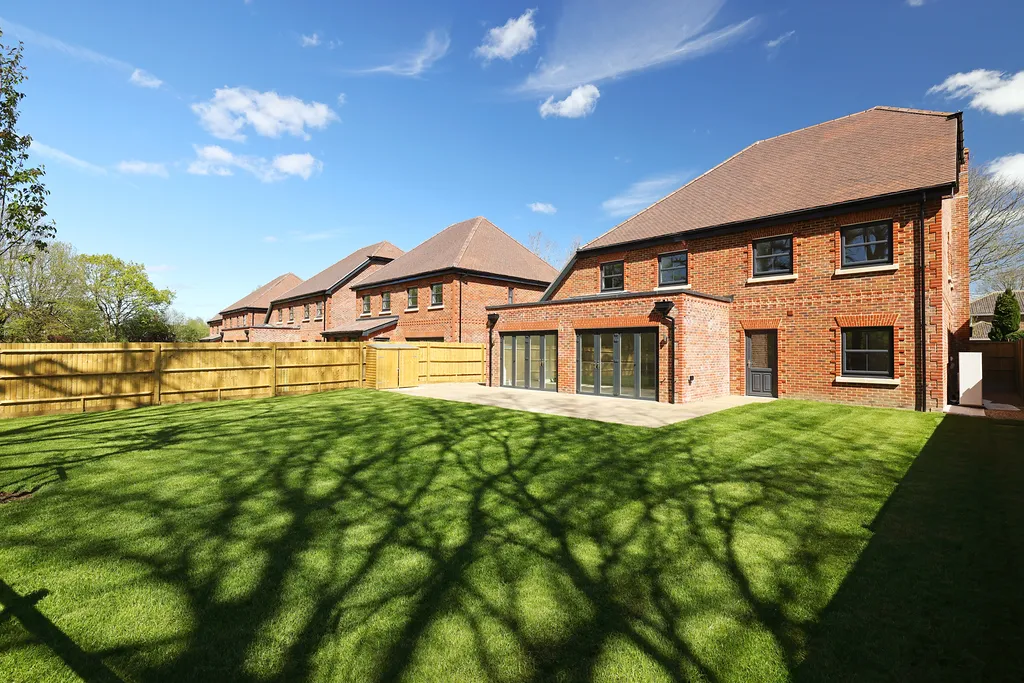 Plot 5