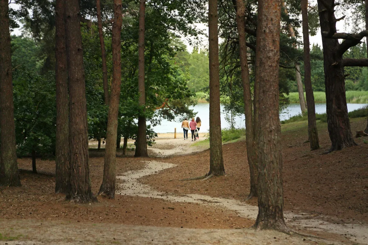 park