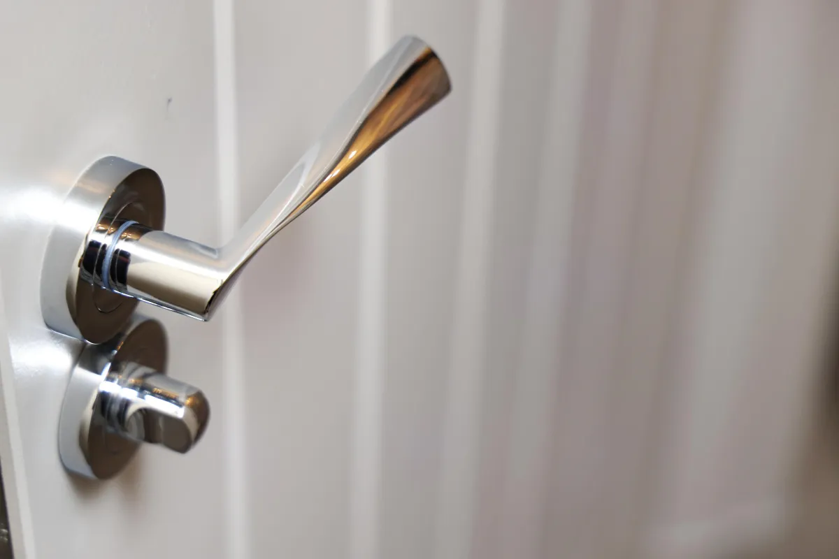 Door and handle