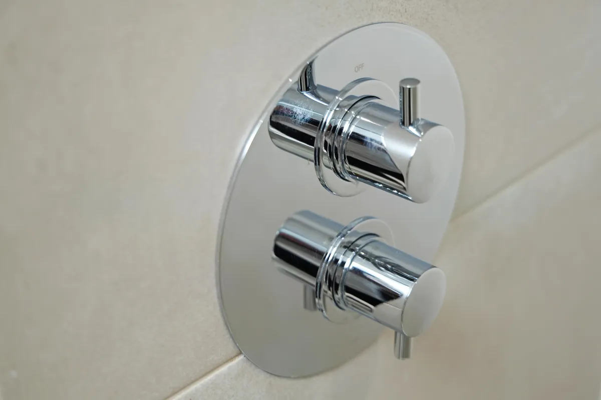 Shower controls
